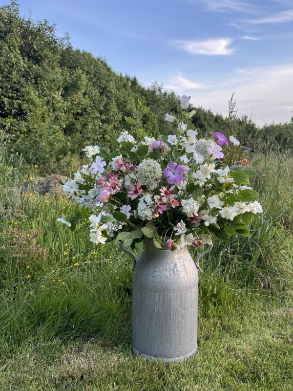 Fawen flowers